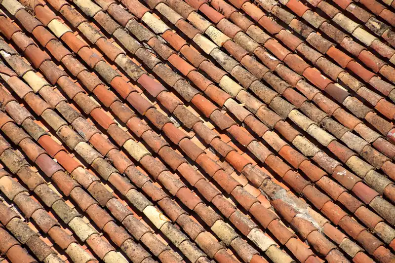 Close up of overlapping clay plain tiles showing colour variation and weathering on a period roof