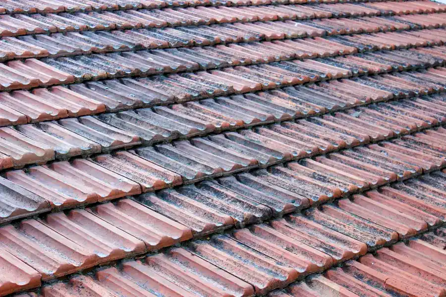 Weathered clay plain tiles showing surface flaking and frost damage on an older roof slope