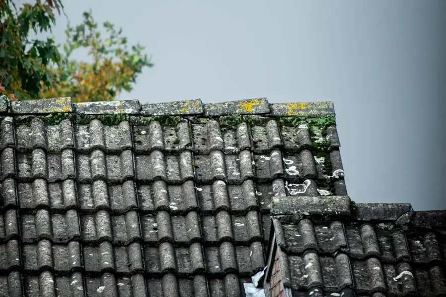 A worn grey concrete tiled roof slope with lichen along the ridge