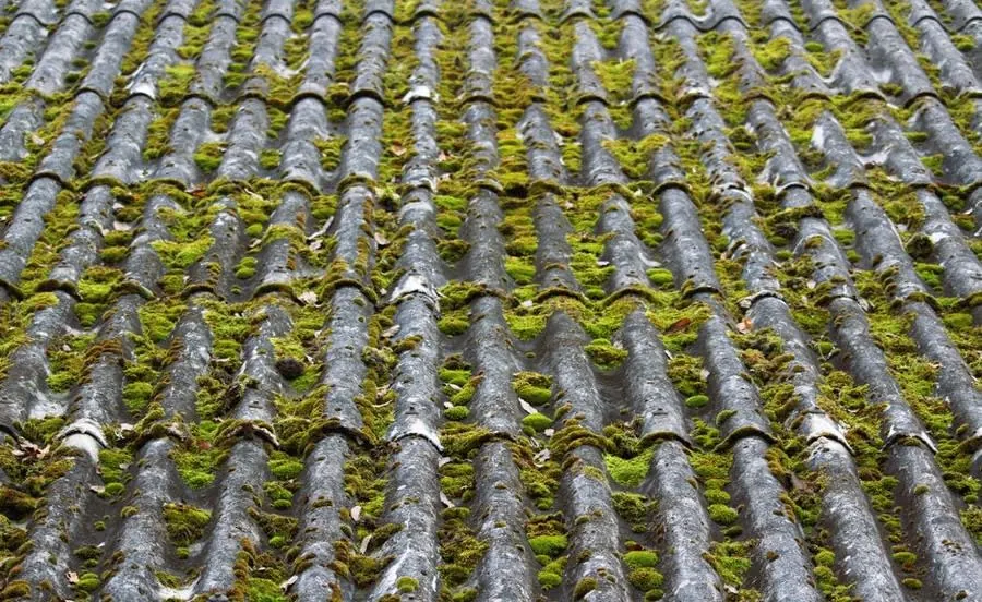 Weathered and mossy concrete roof tiles on a house in the Croydon area