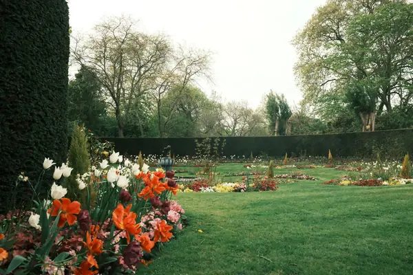 Flower beds and lawn in an English park garden in spring