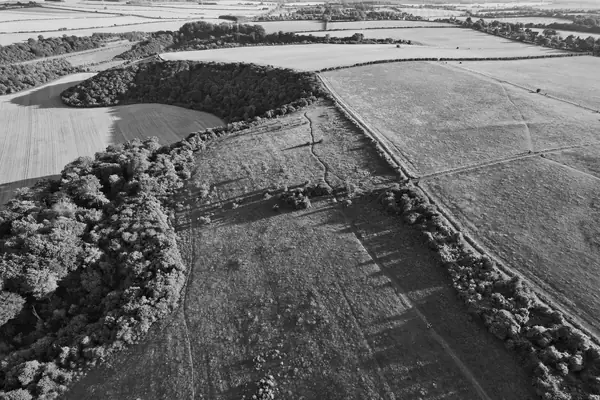 Black and white aerial view of open fields and woodland edges on the downs